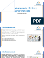 2.1. Estudio de Mercado, Técnico y Marco Financiero