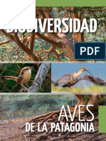 Revista-BIODIVERSIDAD-13-AVES-PATAGONICAS