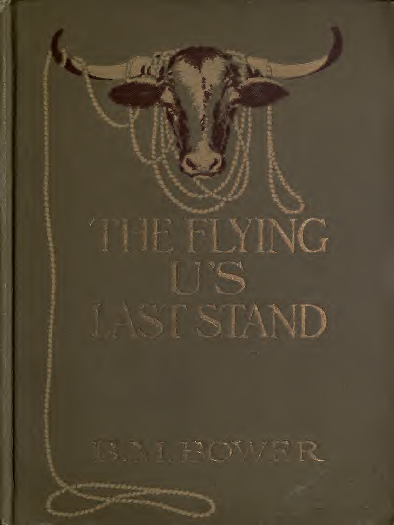 Flyinguslaststan 00 Bowerich | PDF