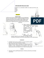 Exploracion Fisica Del Codo - Vane