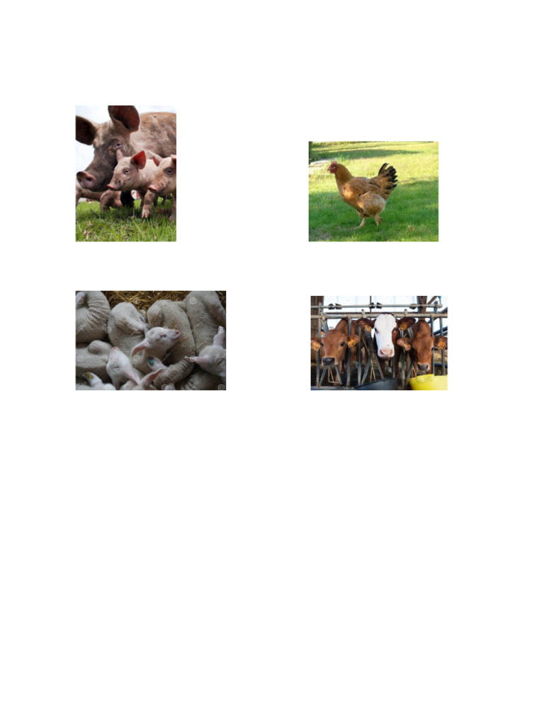 animales de la granja | PDF