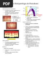 Lesões Fundamentais Odontologia Pdf Epitélio Especialidades Médicas