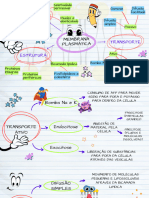 Mapa Mental - Membrana Plasmática