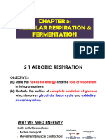 Chapter 5 Cellular Respiration and Fermentation
