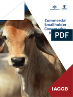 Commercial Smallholder Cooperative Breedlot