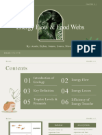 Energy Flow 0 Food Webs