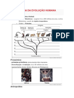 5 - Teoria Da Evolução Humana