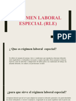 Régimen Laboral Especial