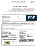 Evaluación Diagnostica Ciencias 4 Basico Ab