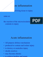 Acute Inflammation: The Response of Living Tissue To Injury