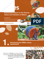 Values_IPBES Side Event_8 December