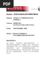 Ensayo Sobre Derechos Humanos