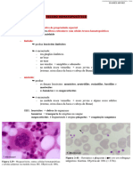 Tecido Hematopoiético & Tecido Sanguíneo