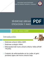 Síndrome Urinario Felino