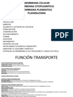 2.socializacion Membrana-Citoplasma-Organelos