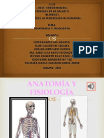 Anatomia y Fisiologia (DISCO)