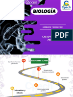 Ciclo Celular y Mitosis