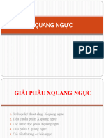 Xquang Ngực - Note