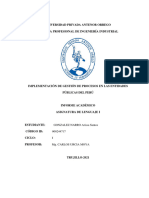 Implementación de Gestión de Procesos en Las Entidades Públicas Del Perú - Informe Académico