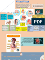 INFOGRAFIAS