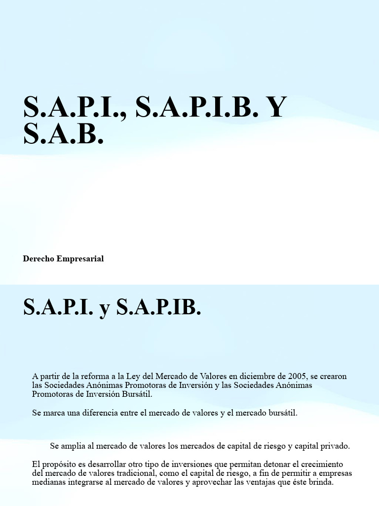 Sapi Sapib y Sab | PDF | Compartir (Finanzas) | Auditoría