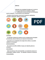 Biomoléculas Orgánicas Décimo