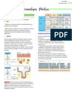 4 Resumo - Imunologia Med