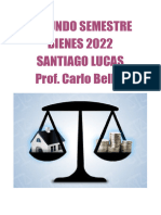 Segundo Semestre BIENES 2022 Santiago Lucas Prof. Carlo Bellín