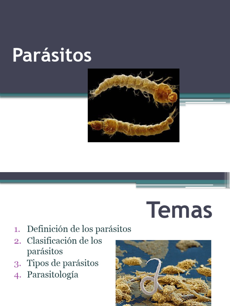tipos-de-parasitos-patogenos05-16-pdf-mosquito-diarrea