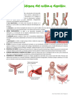 UABP 4. Anatomía Patológica Del Sistema Digestivo