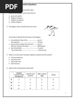 Ch1 IGCSE Practice Questions