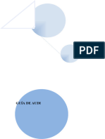 Guia de Auditoria I