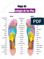 Reflexología de Los Pies: Derecho Izquierdo