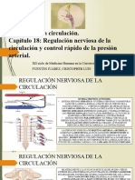 Capitulo 18 Regulacion Nerviosa de La Circulacion y Control Rapido de La Presion Arterial