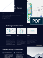 La Genetica Explorando Las Bases de La Vida
