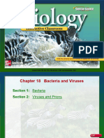9th18 Bacteria and Viruses