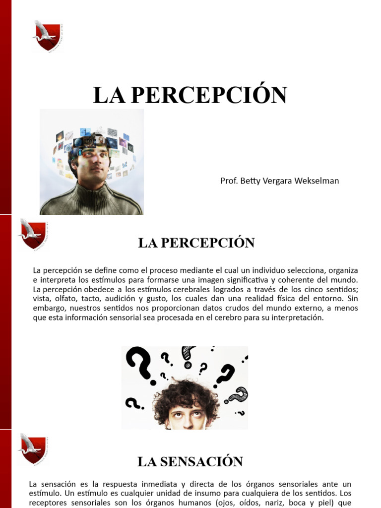 Importancia de la Percepción en Decisiones | PDF | Percepción | Sentidos