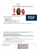 01 - Curs 4-7 Kinetologie Nadinne