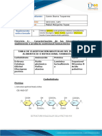 Anexo 2. Formato de Entrega Tarea 2