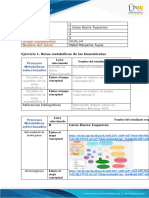 Formato de Entrega Tarea 4-Caren Ibarra