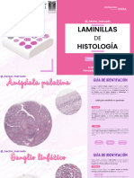 Laminillas de Histología - Apoyo Visual