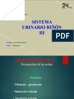 Uss 2024-0. - Teoría. - Histologia - Riñón Iii