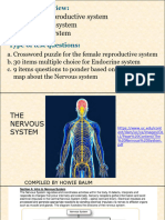 MARCH 19, 2024 The Nervous System