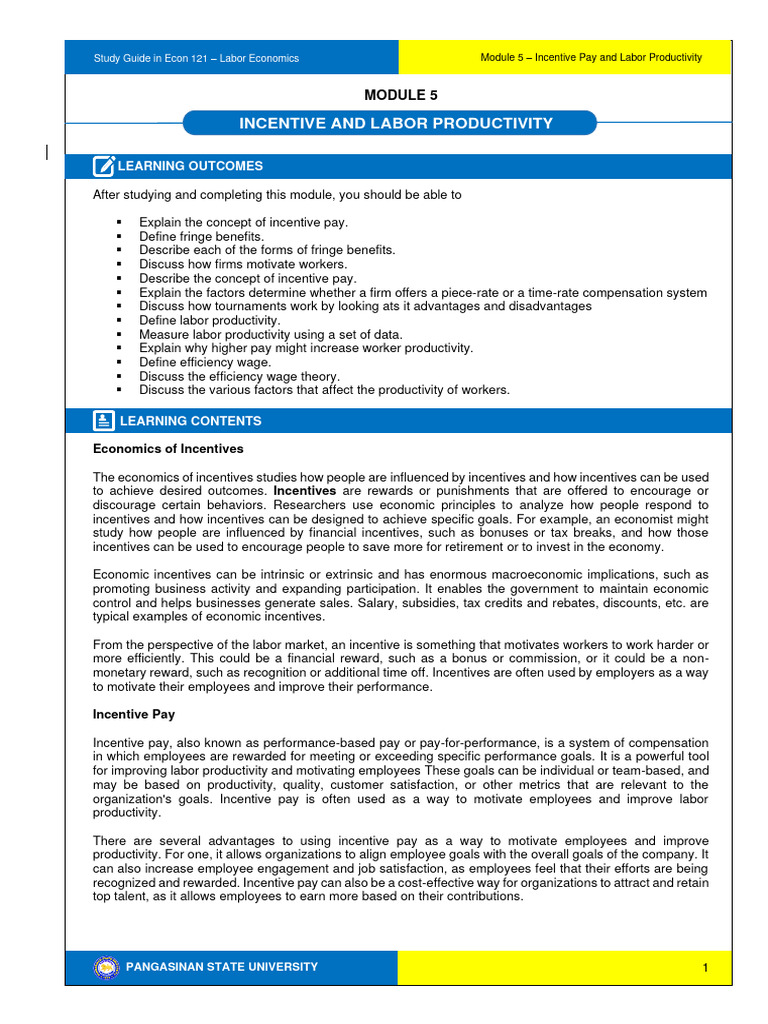 Module 5 Incentive Pay And Labor Productivity Pdf Incentive