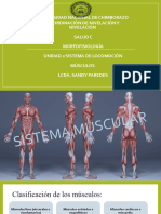 Diapositivas Clasificación de Musculos - Fisiologia