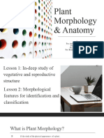 Plant Anatomy Morphology 2 - 082328