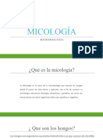 Micología Alumnos Equipo 8