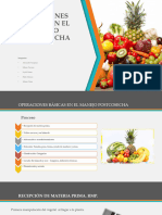 Operaciones Básicas en El Manejo Postcosecha: Integrantes