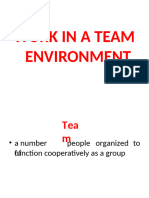 Work in A Team Environment