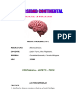 Producto Académico N°1 - Neurociencias.